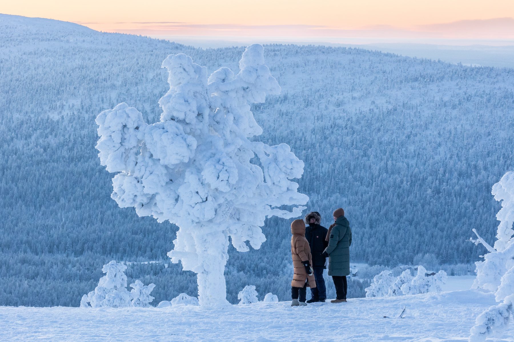 Kolme talvitakkeihin pukeutunutta henkilöä seisoo lumen peittämän puun vieressä Suomen Lapin tuntureilla iltahämärässä.